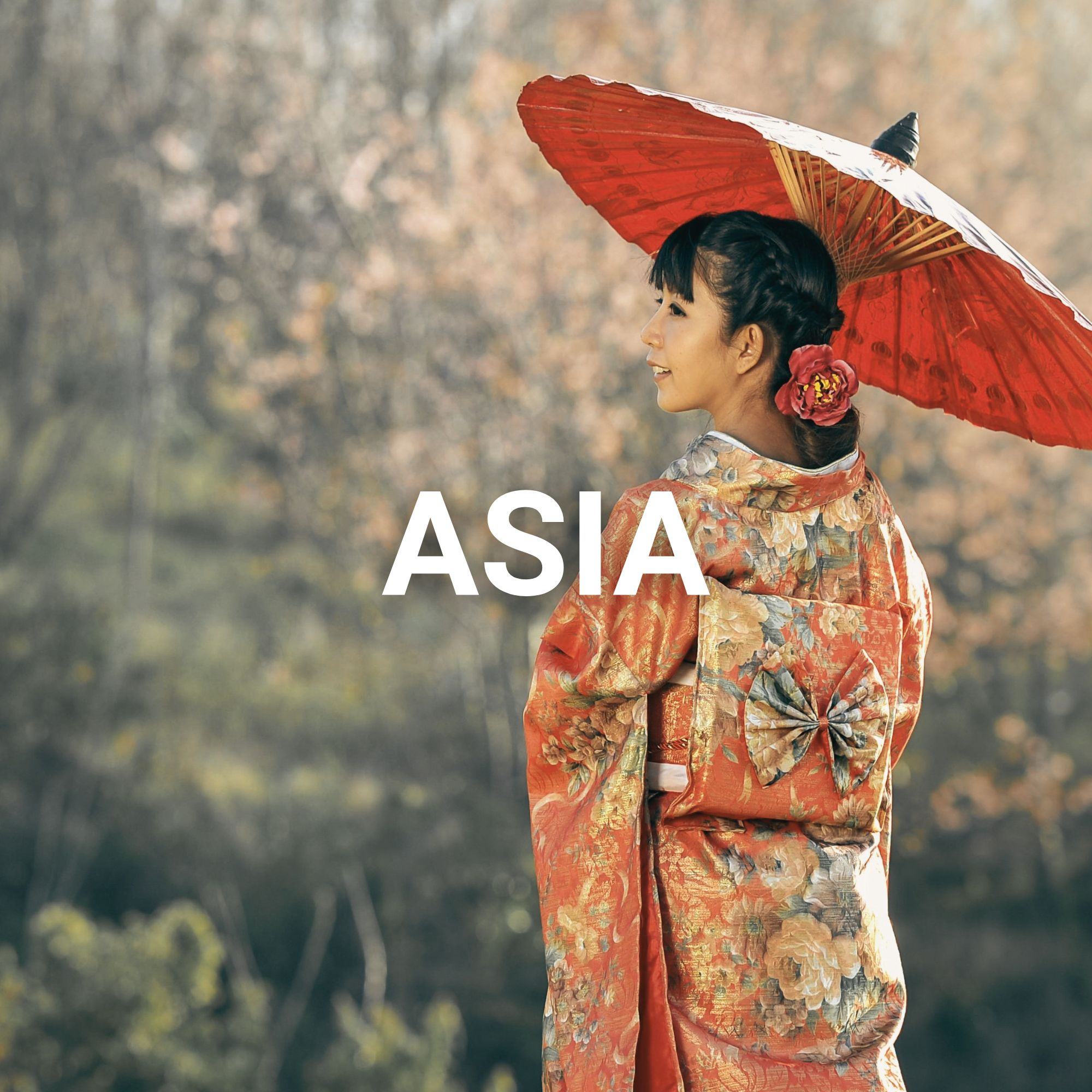 Asian History