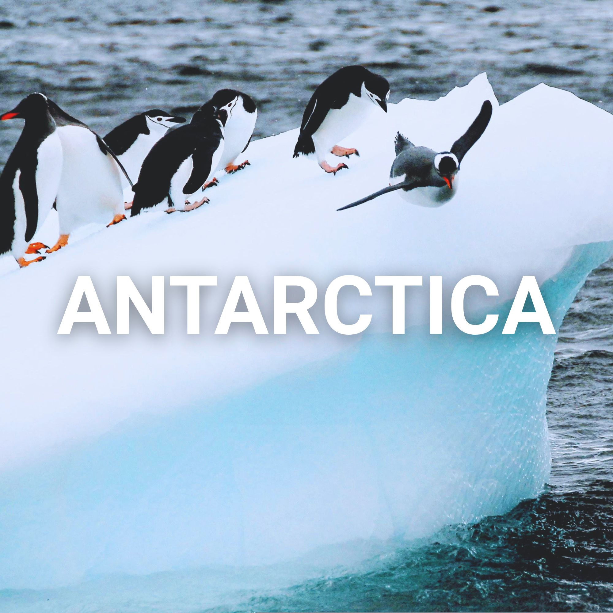 History of Antarctica