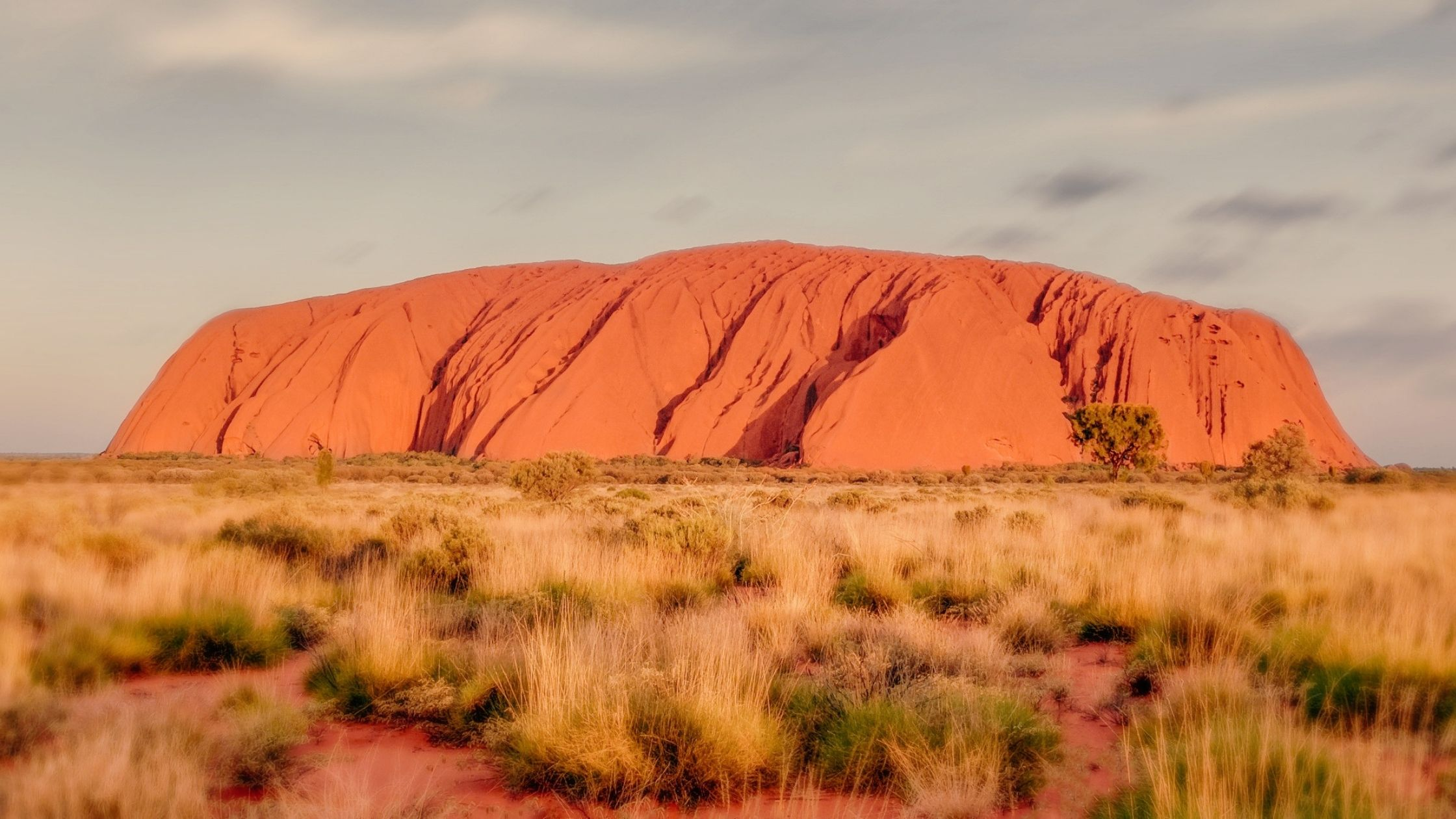 How Australia’s “Empty Land” Myth Survived for 200 Years